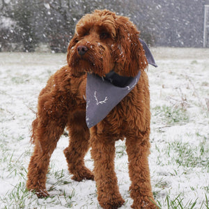 Rosewood - ANTLER HAYGGE BANDANA - Pet Servo