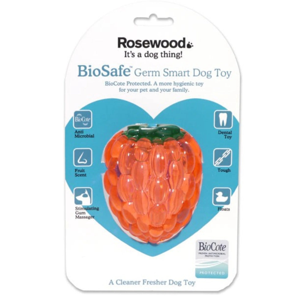 Rosewood -  RASPBERRY BIOSAFE TOY - Petservo