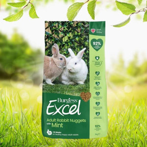 Burgess - Excel Rabbit Pellets with Mint for Junior and Dwarf Rabbits 1.5kg - Petservo