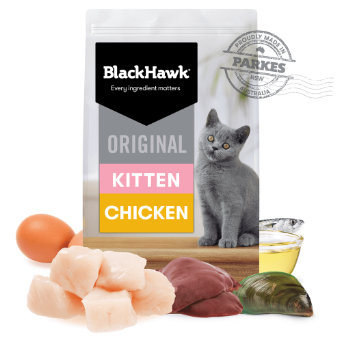 Black Hawk - Original Chicken Dry Kitten Food 2kg - Petservo