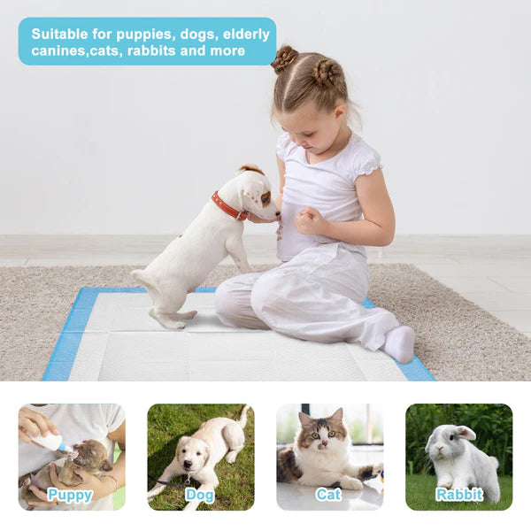 Advwin Pet Training Pads 200PCS 60x60cm - petservo