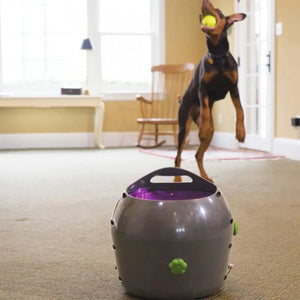 Petsafe - Automatic Ball Launcher Dog Toy  - petservo