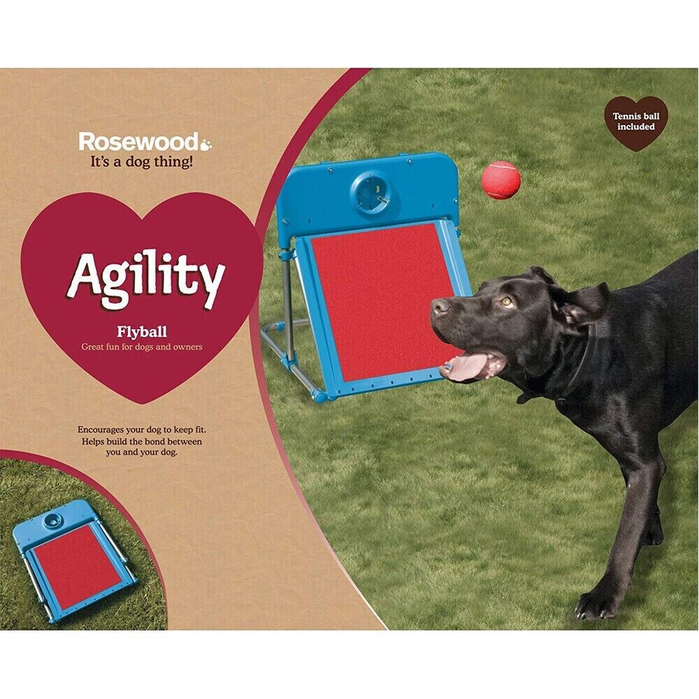 Rosewood -  Dog Agility Flyball Equipment Training